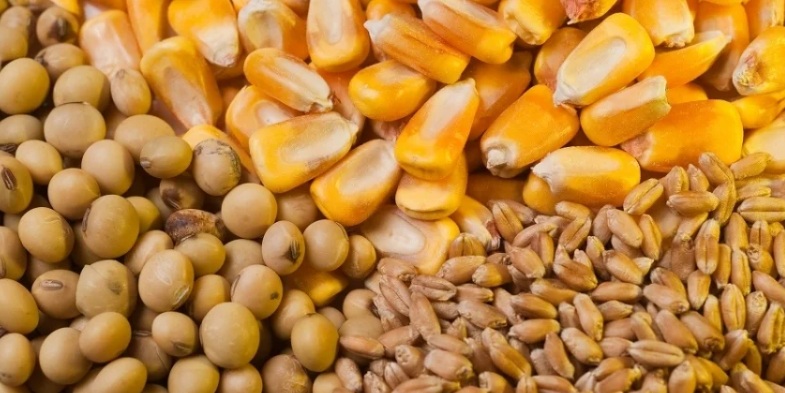 A Importância das Análises Químicas em Grãos para Exportação